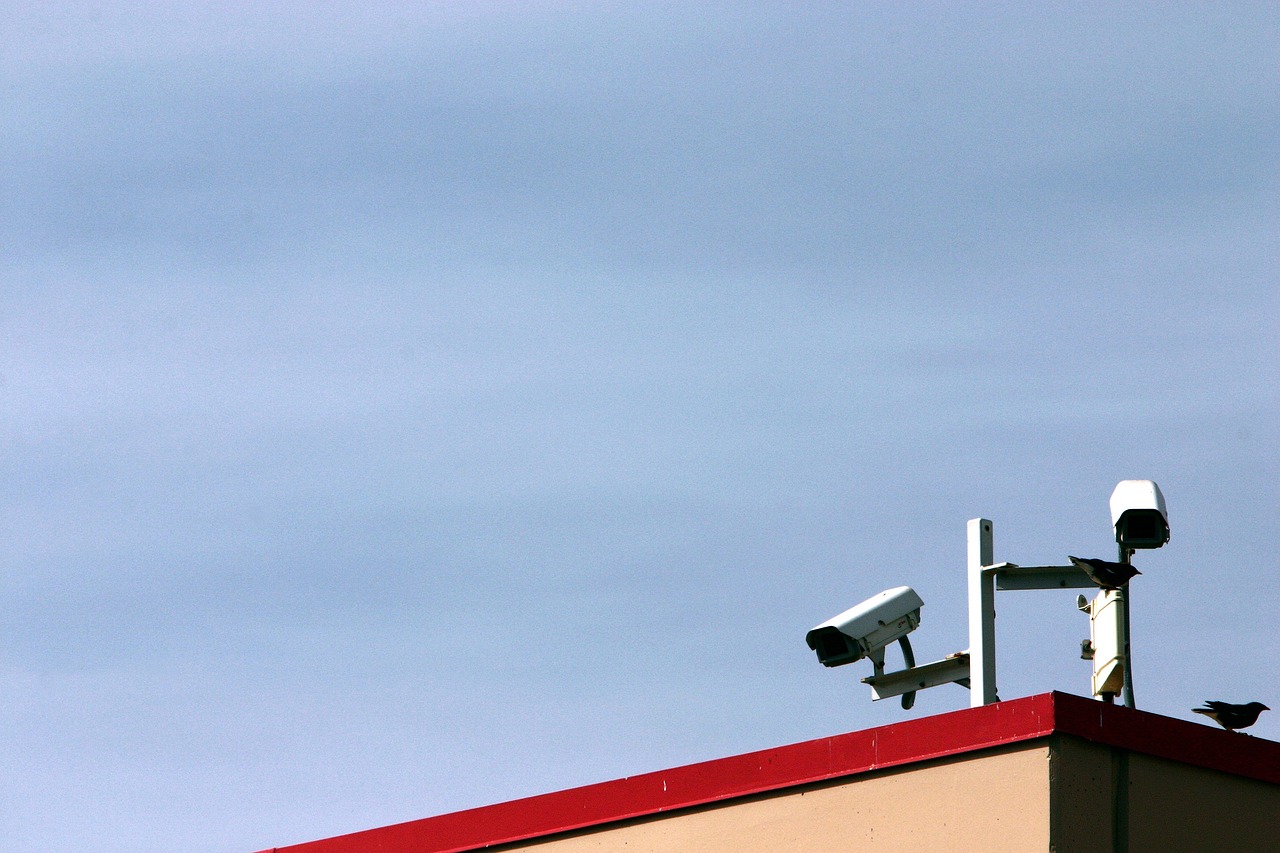 Outdoor Monitoring: Deterrence and Detection